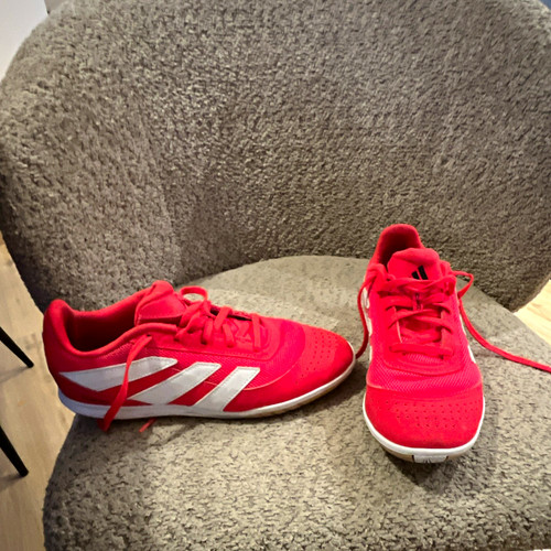 Adidas predator hallenschuhe - adidas,